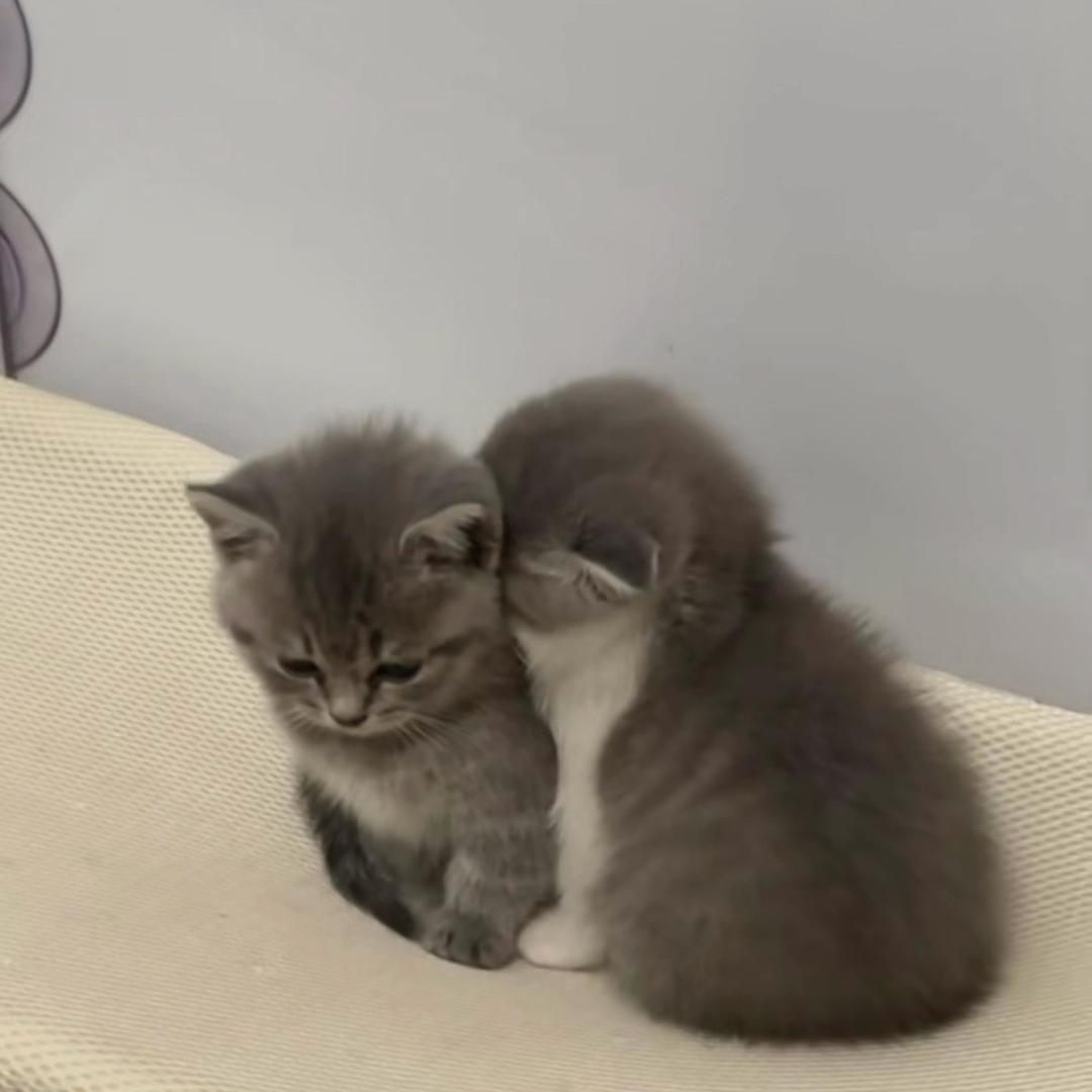 这周也不想上课