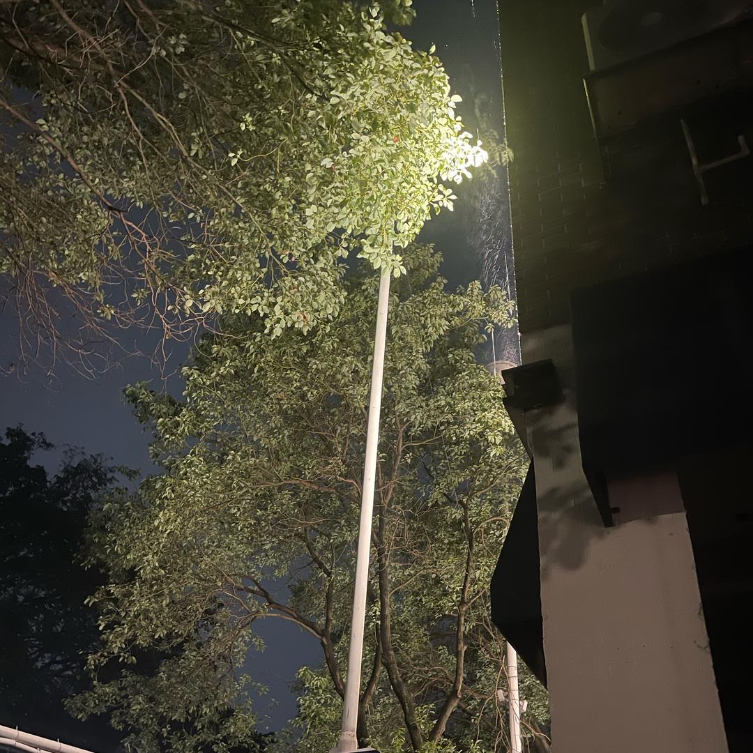 羊羊yyg