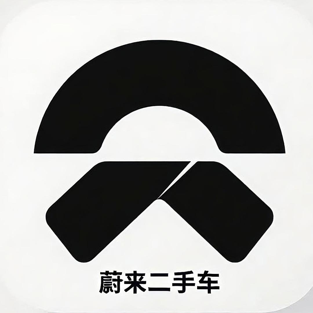 新能源二手车明明