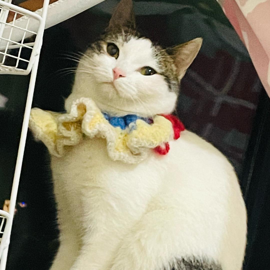 那又如何
