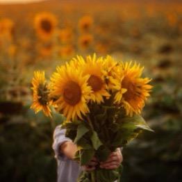 🌻