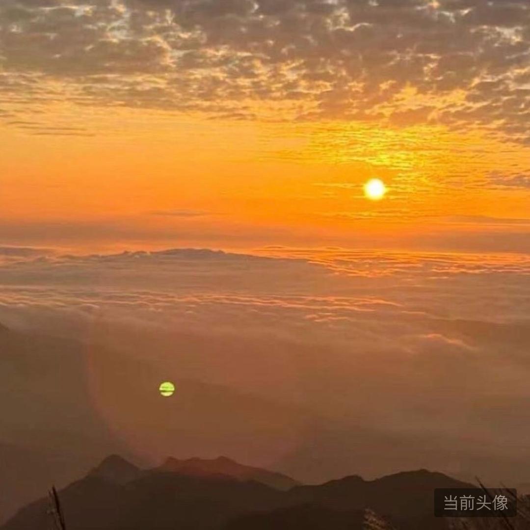 西红柿鸡蛋