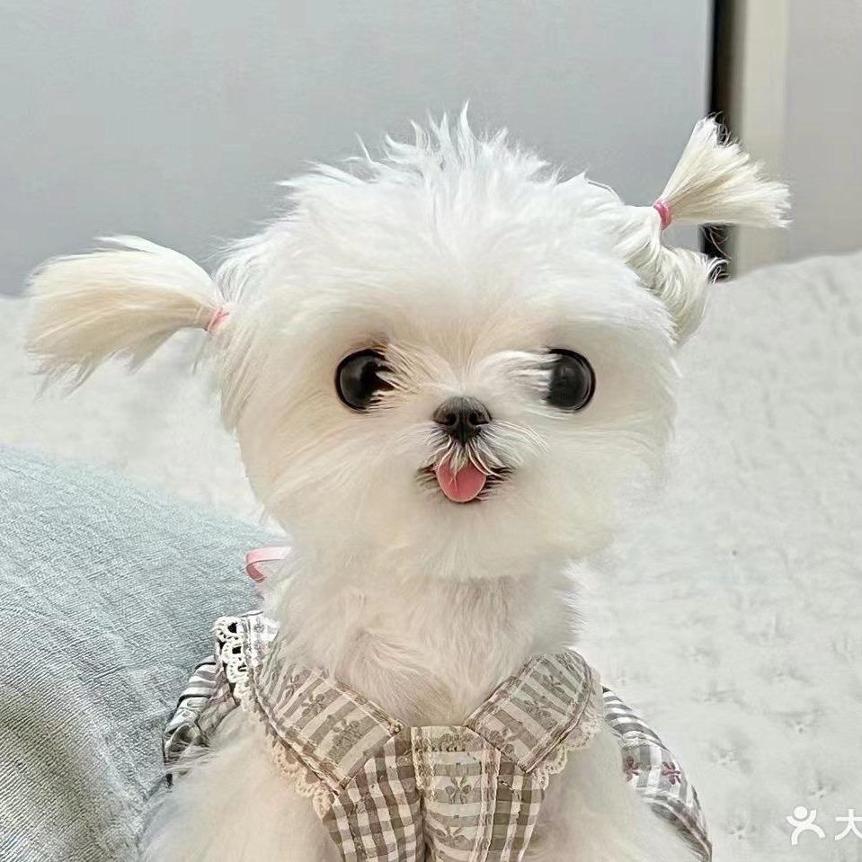 青岛马尔济斯中心