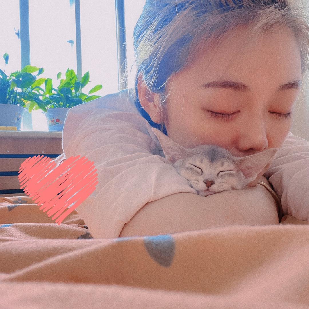 鼓捣猫咛🐱