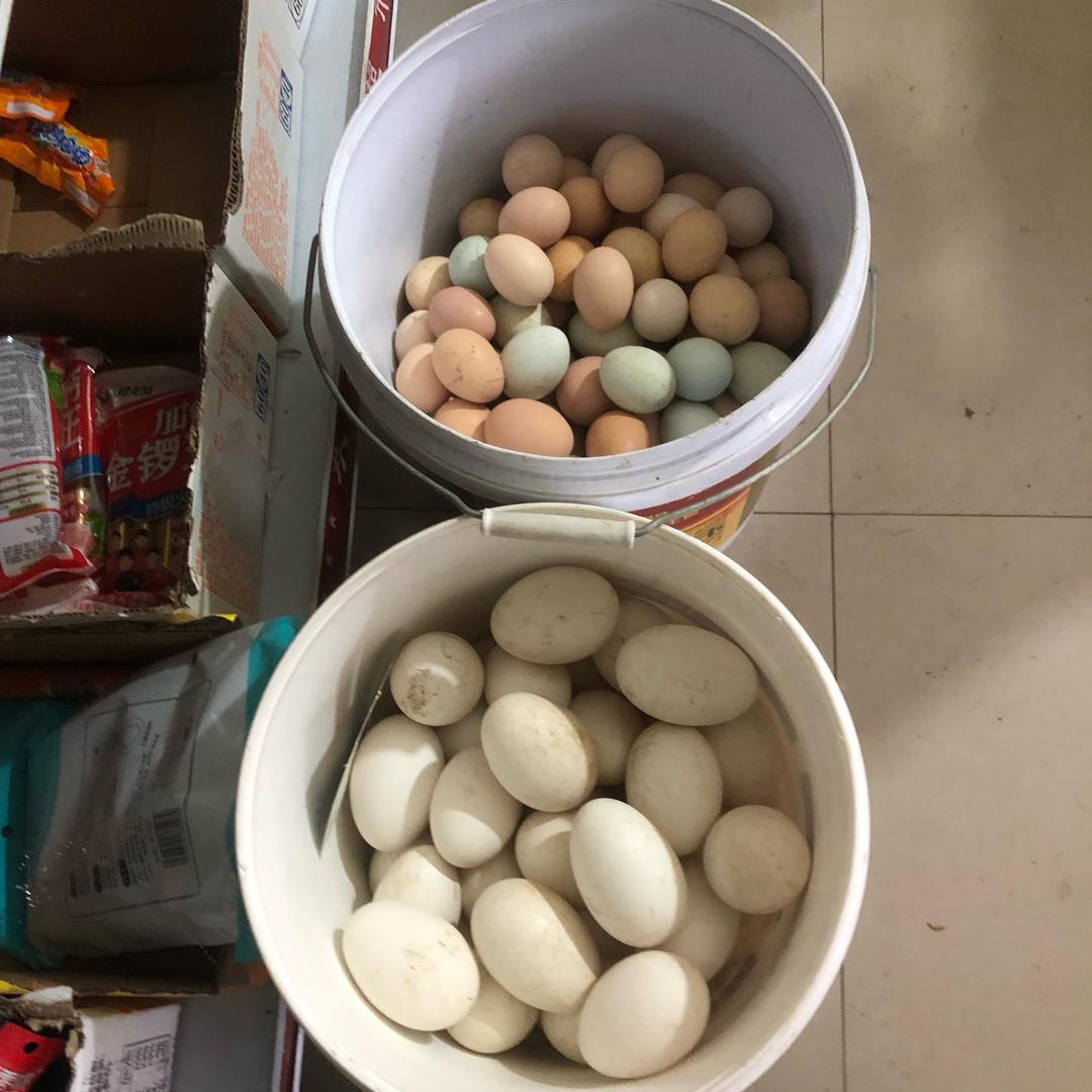 土鸡蛋，鹅蛋