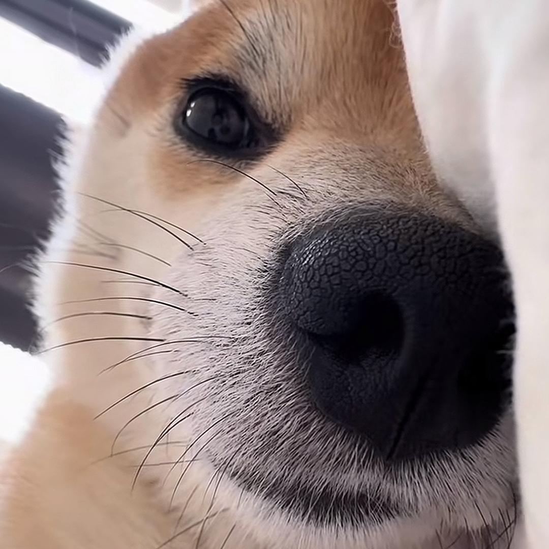 秋风带走夏天