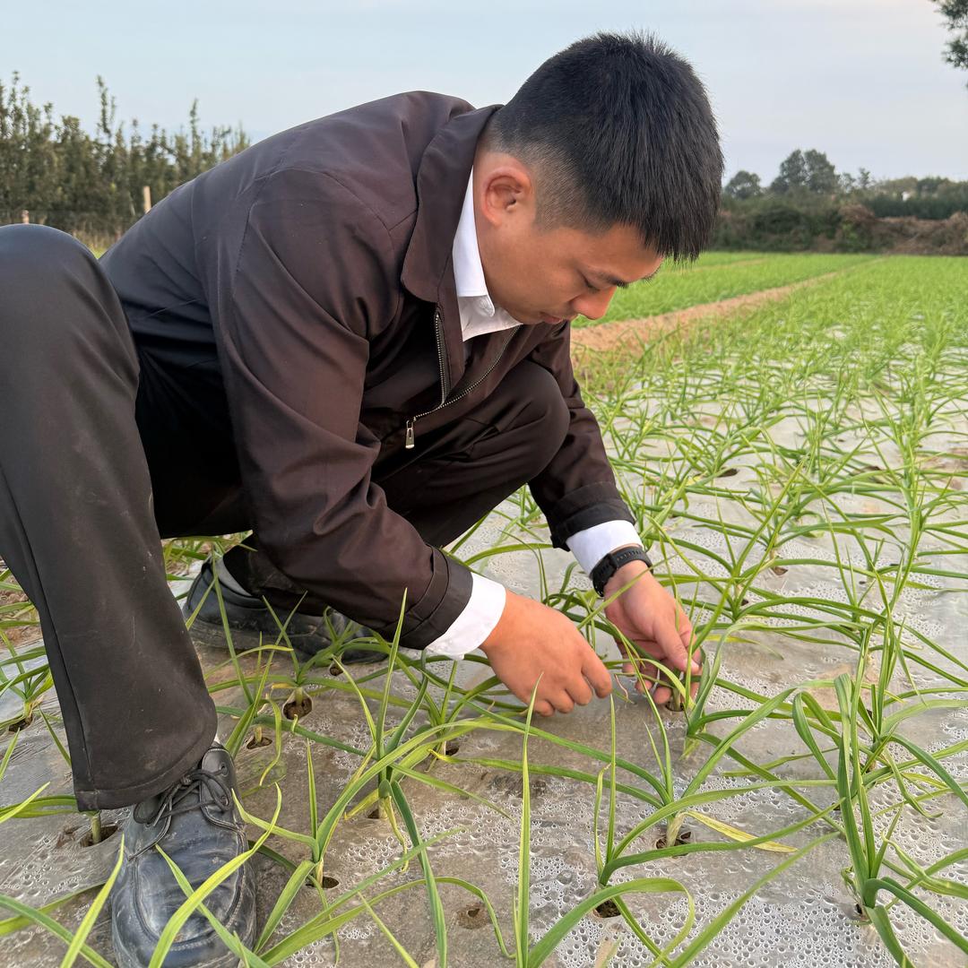 小李助农