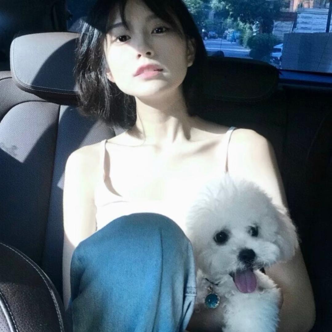 小马.
