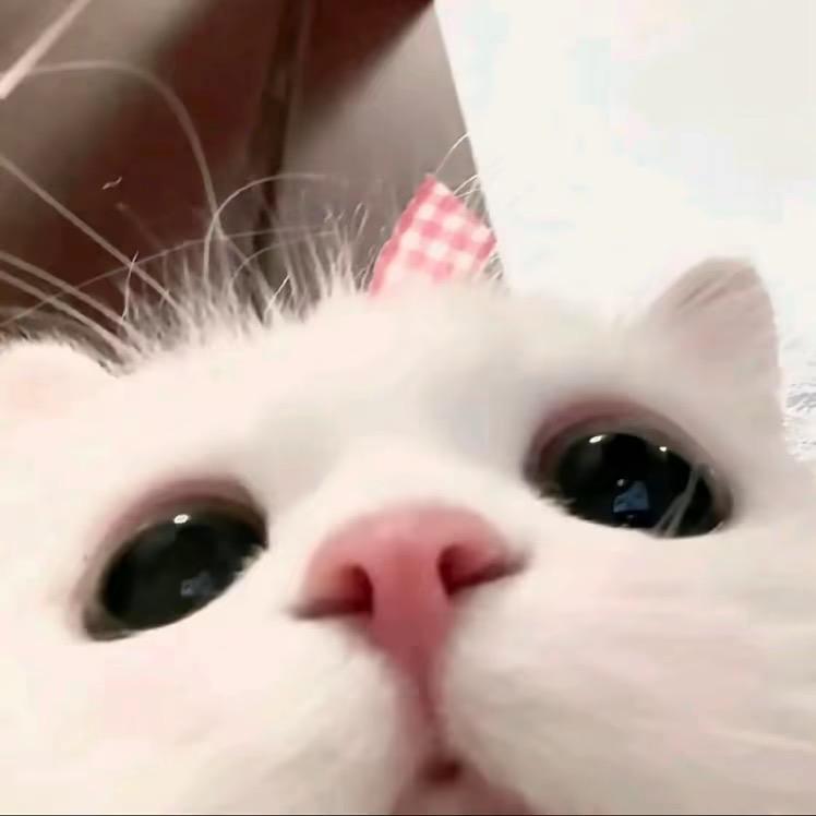 请叫我小恩