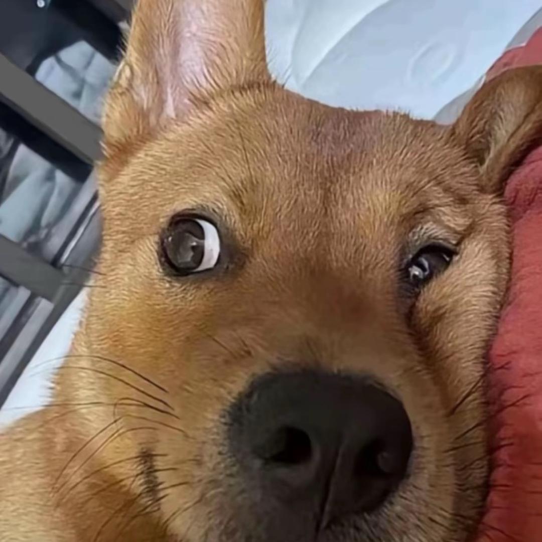 日照炎阳电子商务咨询