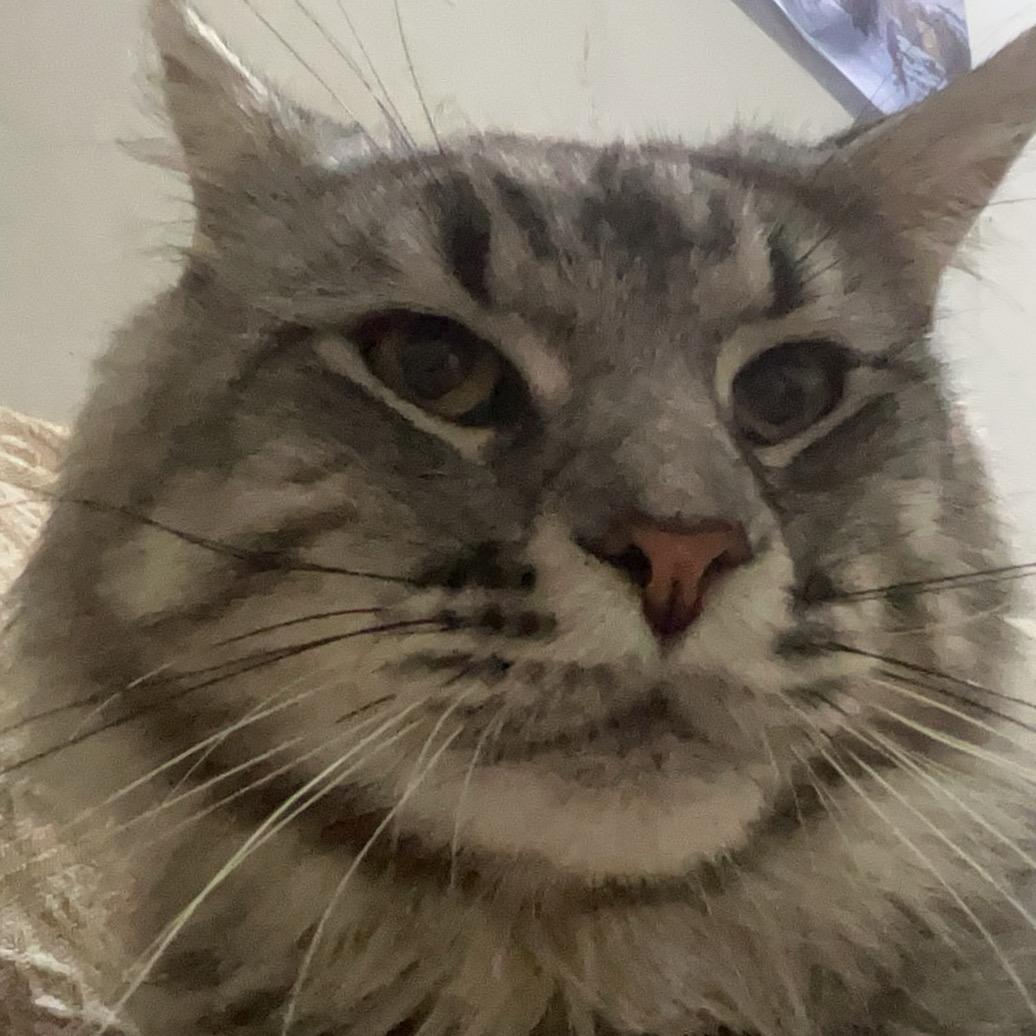 我听见了你的声音