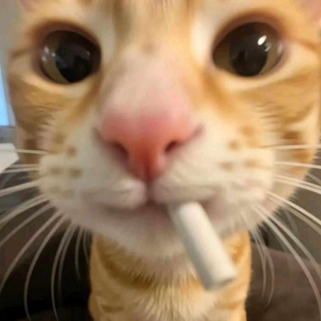 迟遇