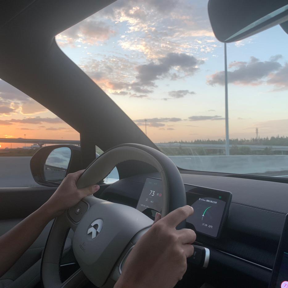 小植物的留声机