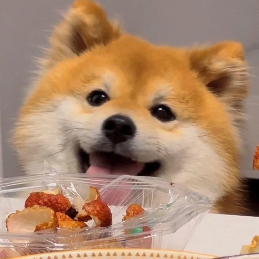 鸡腿大侠