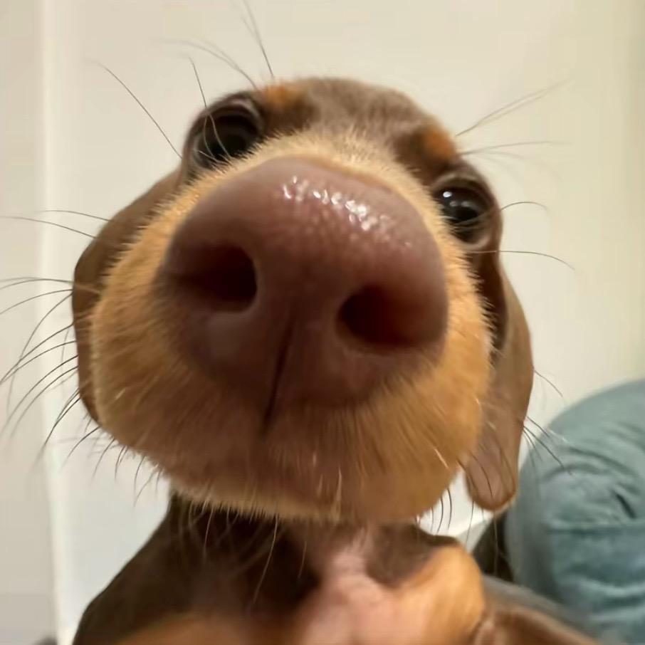 CY