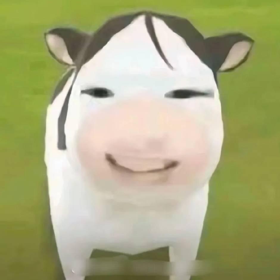 54770615846