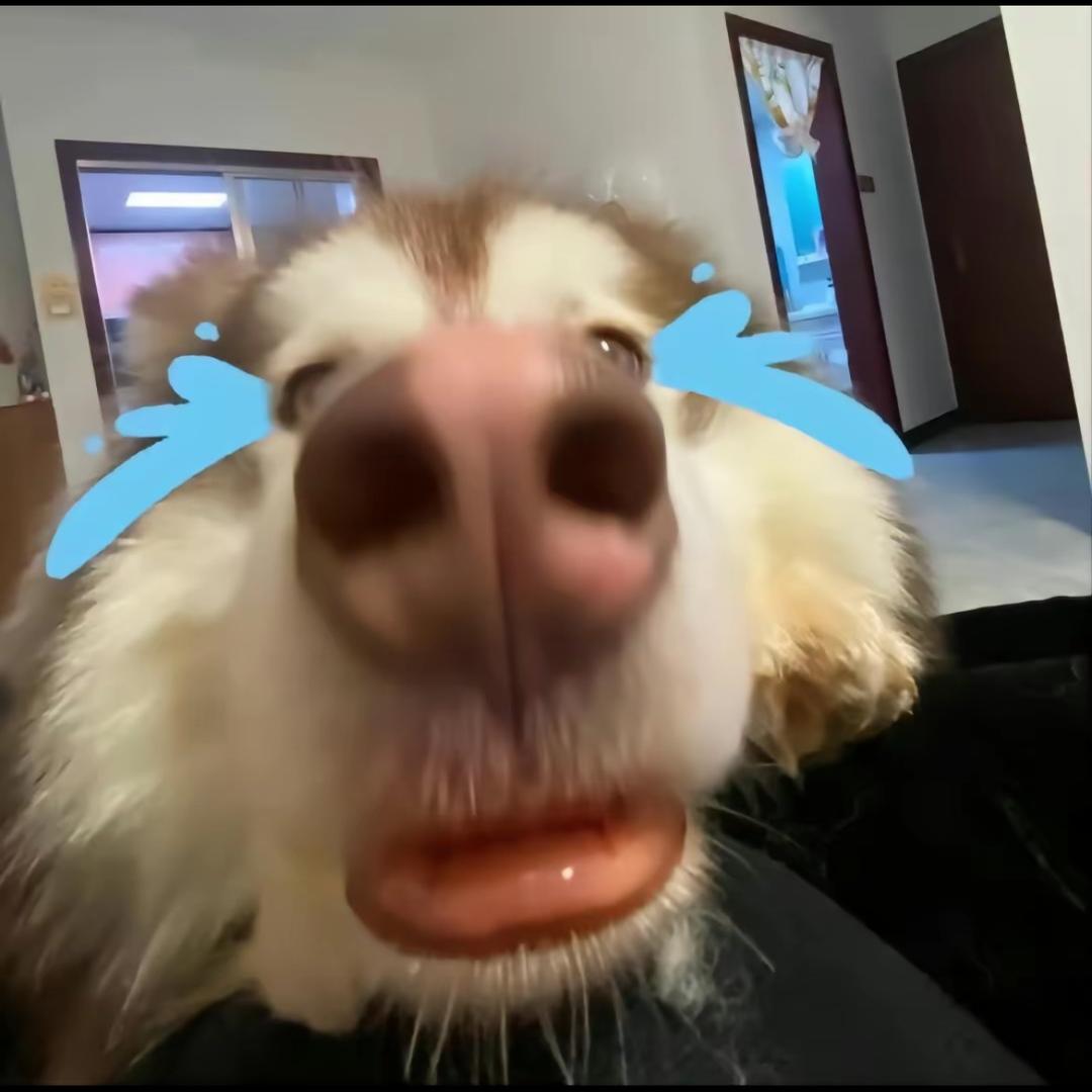 不是张万森