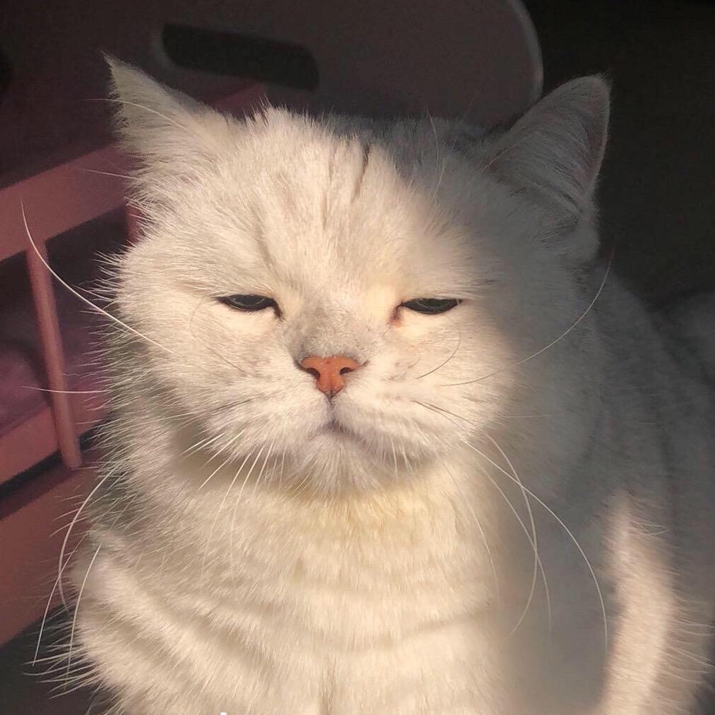 何禾
