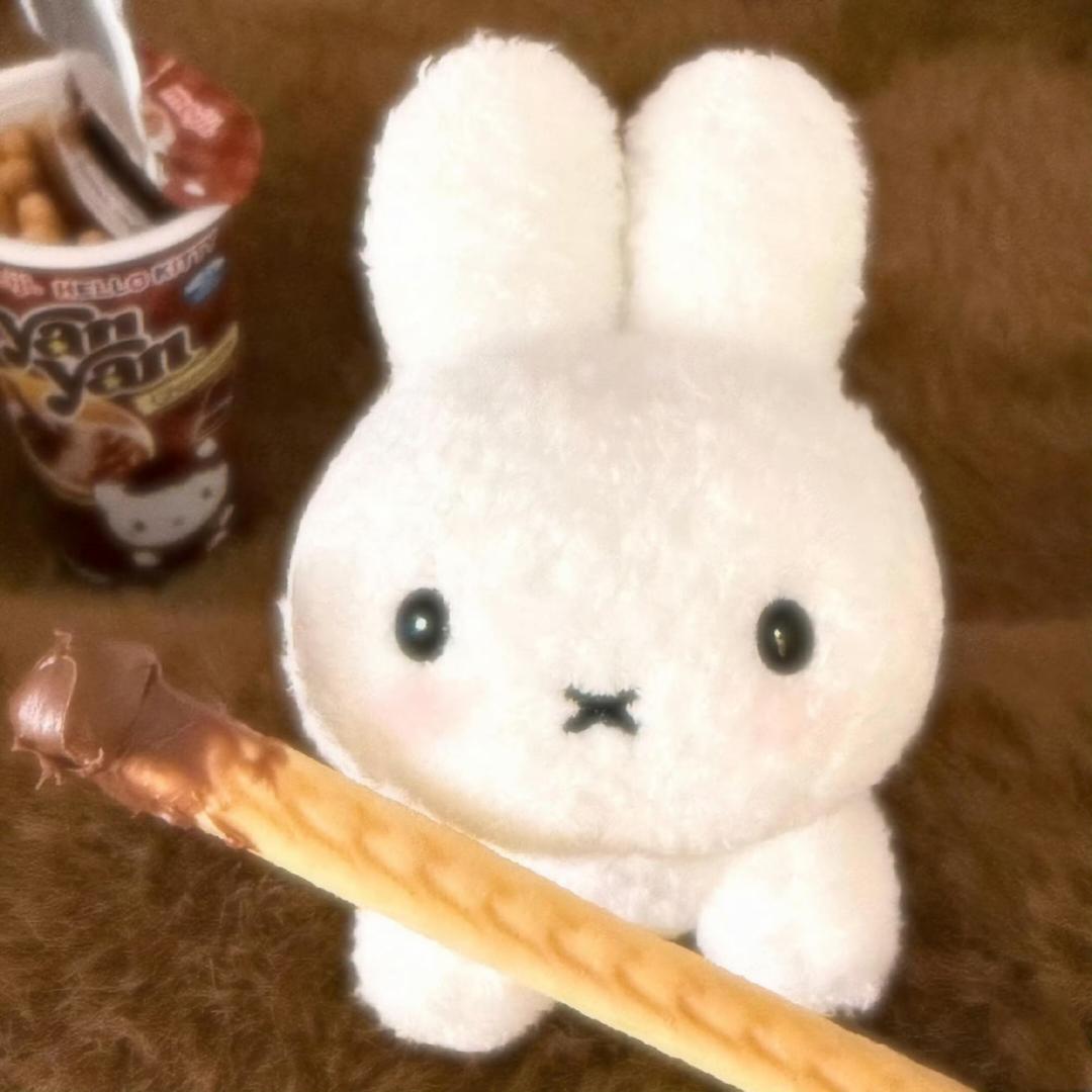 曲奇饼饼