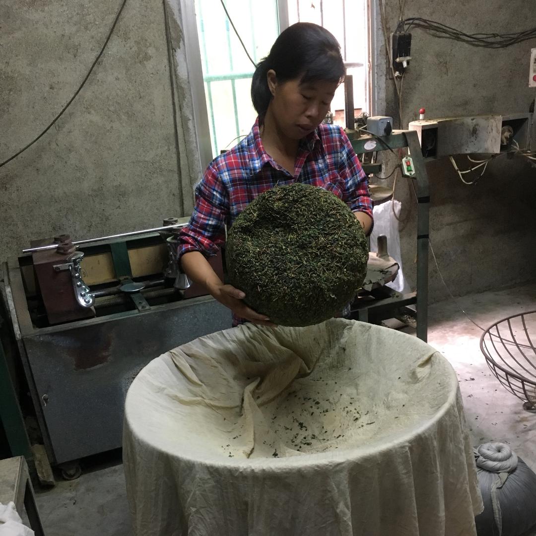 梅之茶香