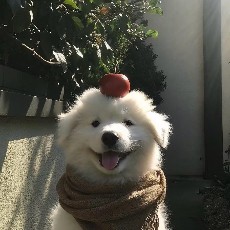 东巴兔装饰～Nimo