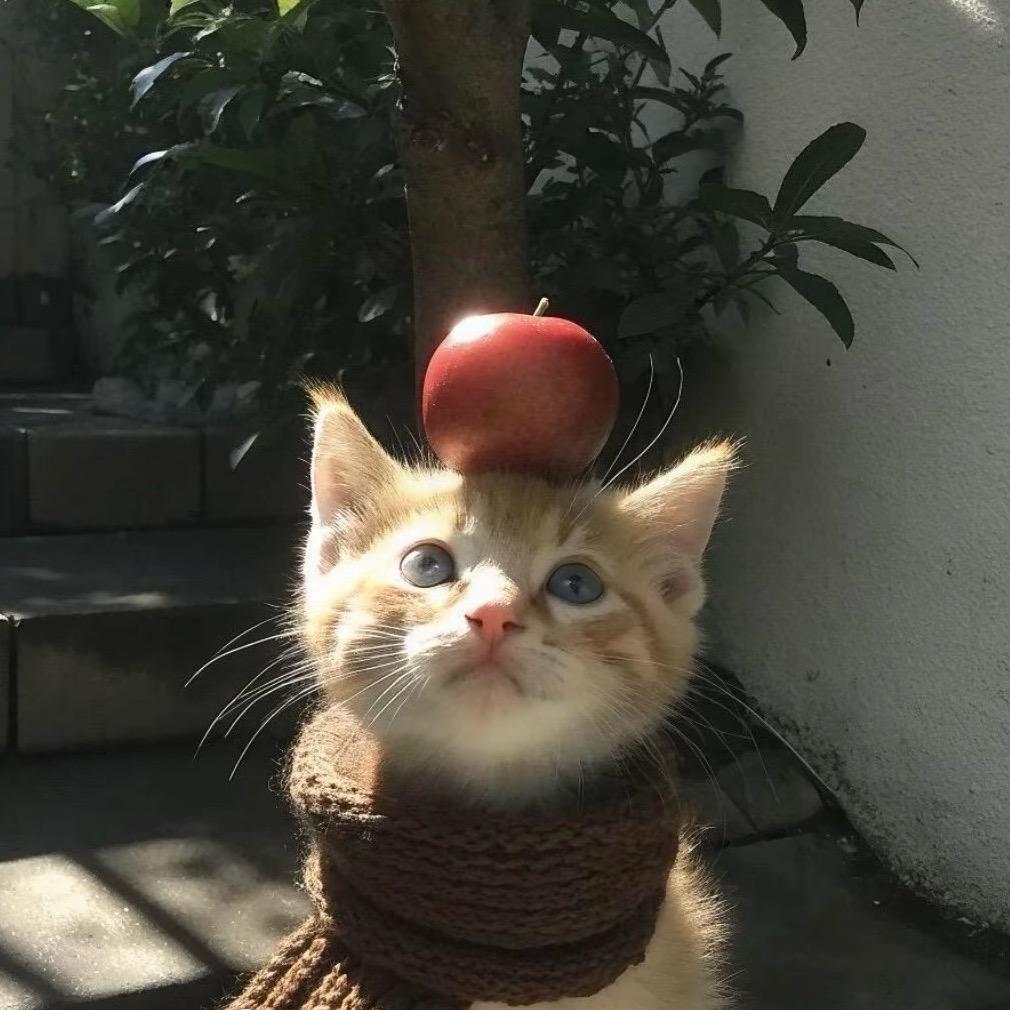 我不爱吃东西(成都约拍)