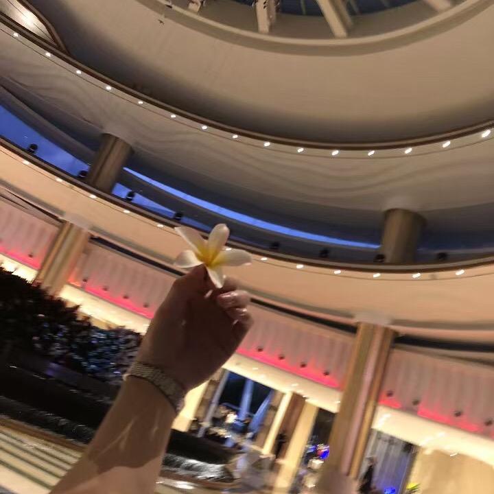 乔锦