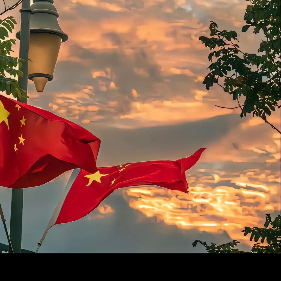 教武术的陈教练