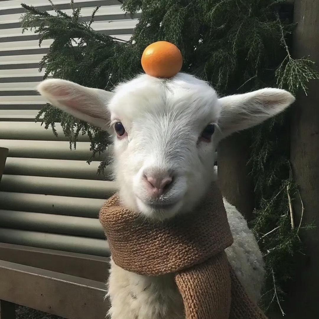 知岚羊绒工厂店