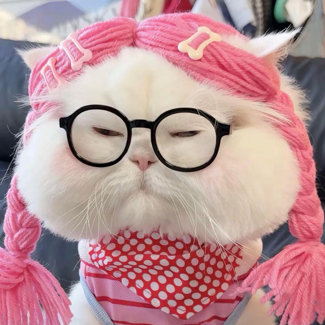 张张睡不饱