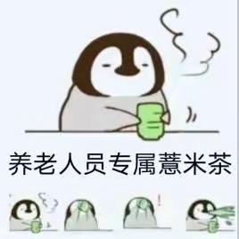 小鱼不见星空