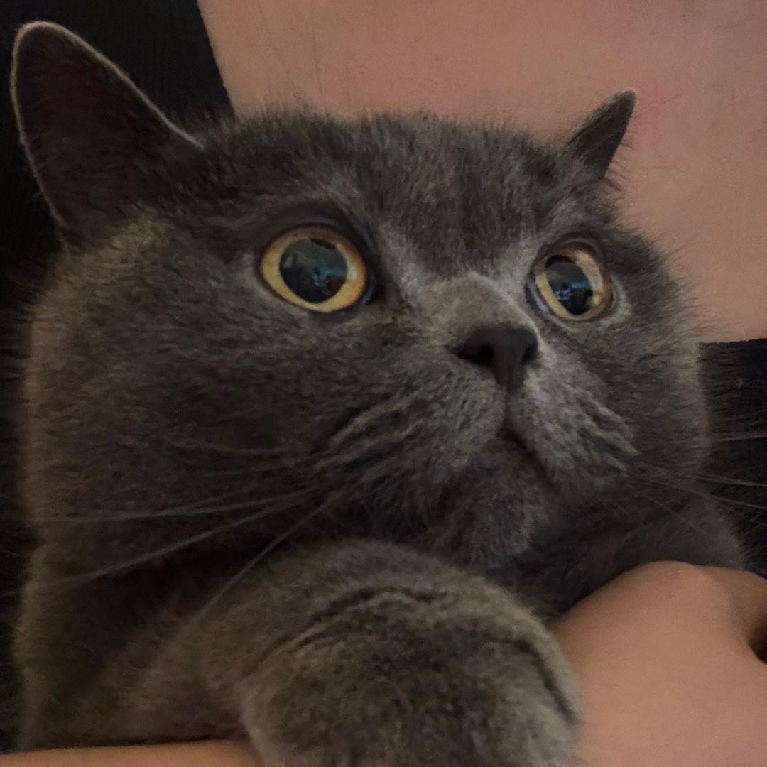 喜欢看短剧！头像