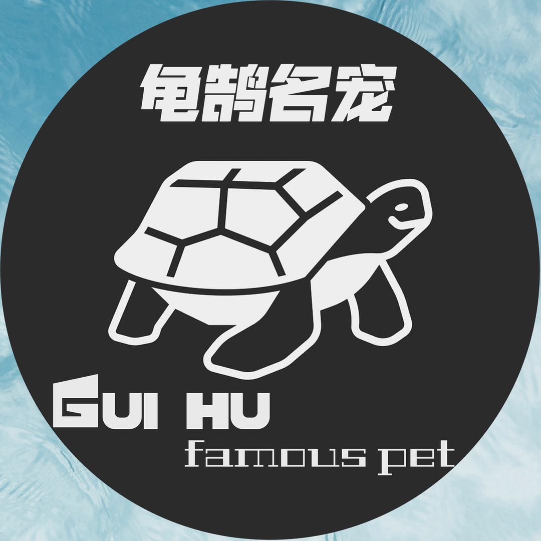 龟鹄名宠