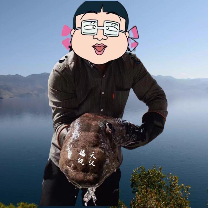 汉锦娃娃鱼专批