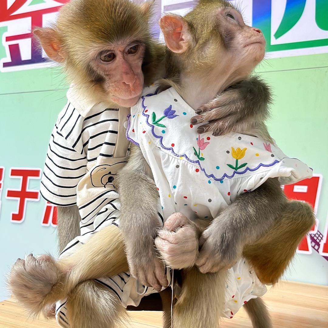 小半斤金农庄园