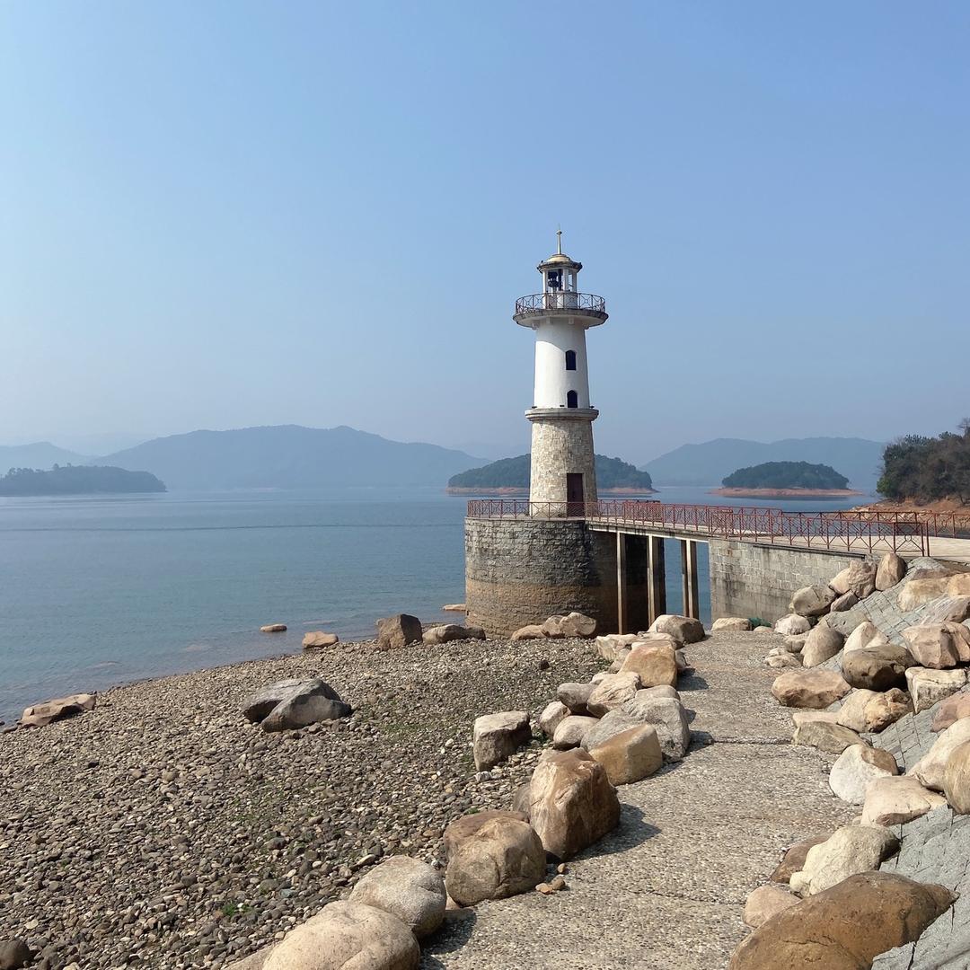 阿俊探犬
