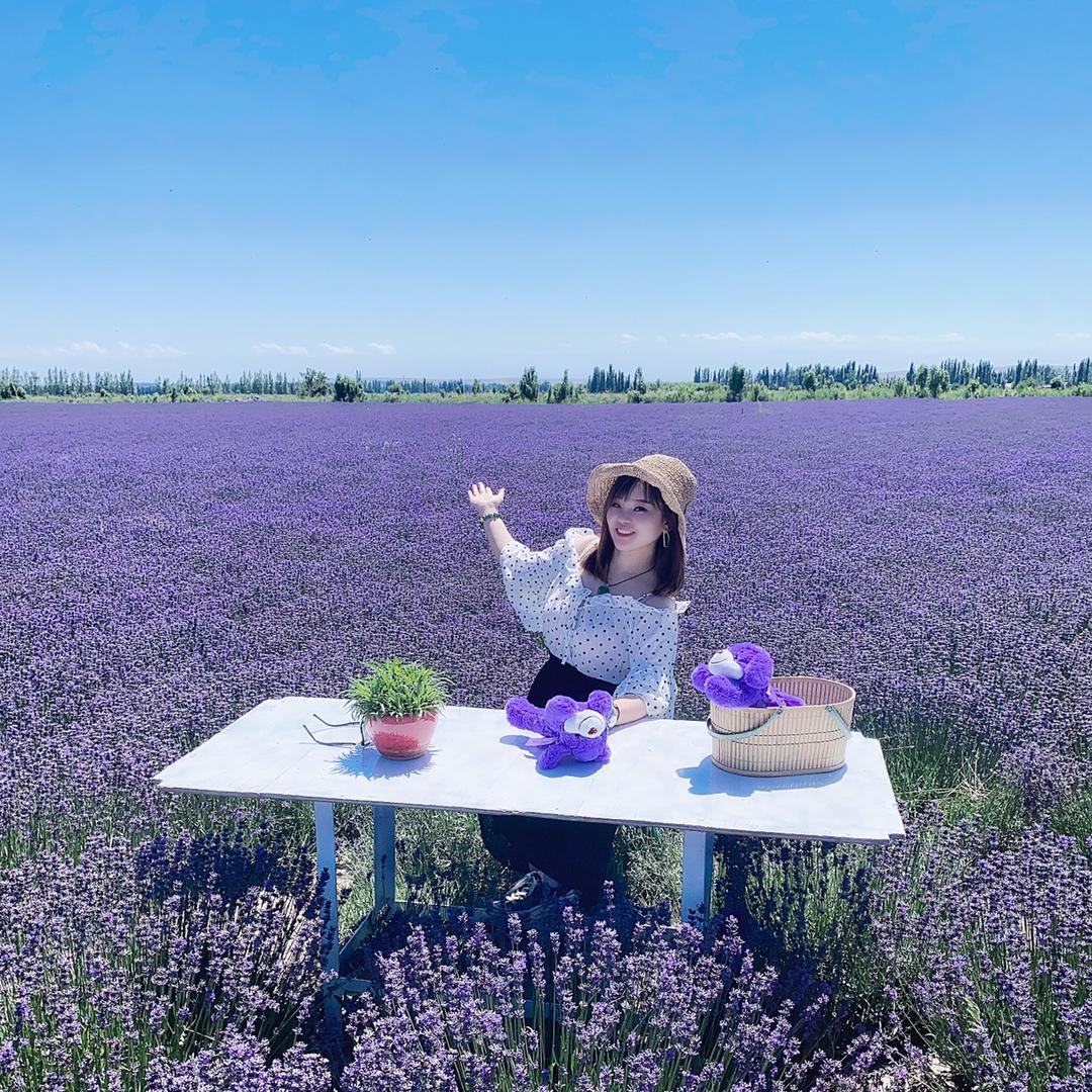 昌吉宝琪兰精油.VROSE薇润