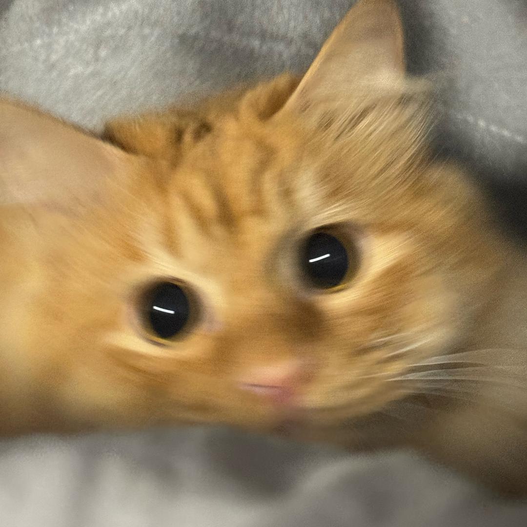 咕噜噜噜