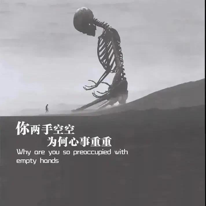 鸿青