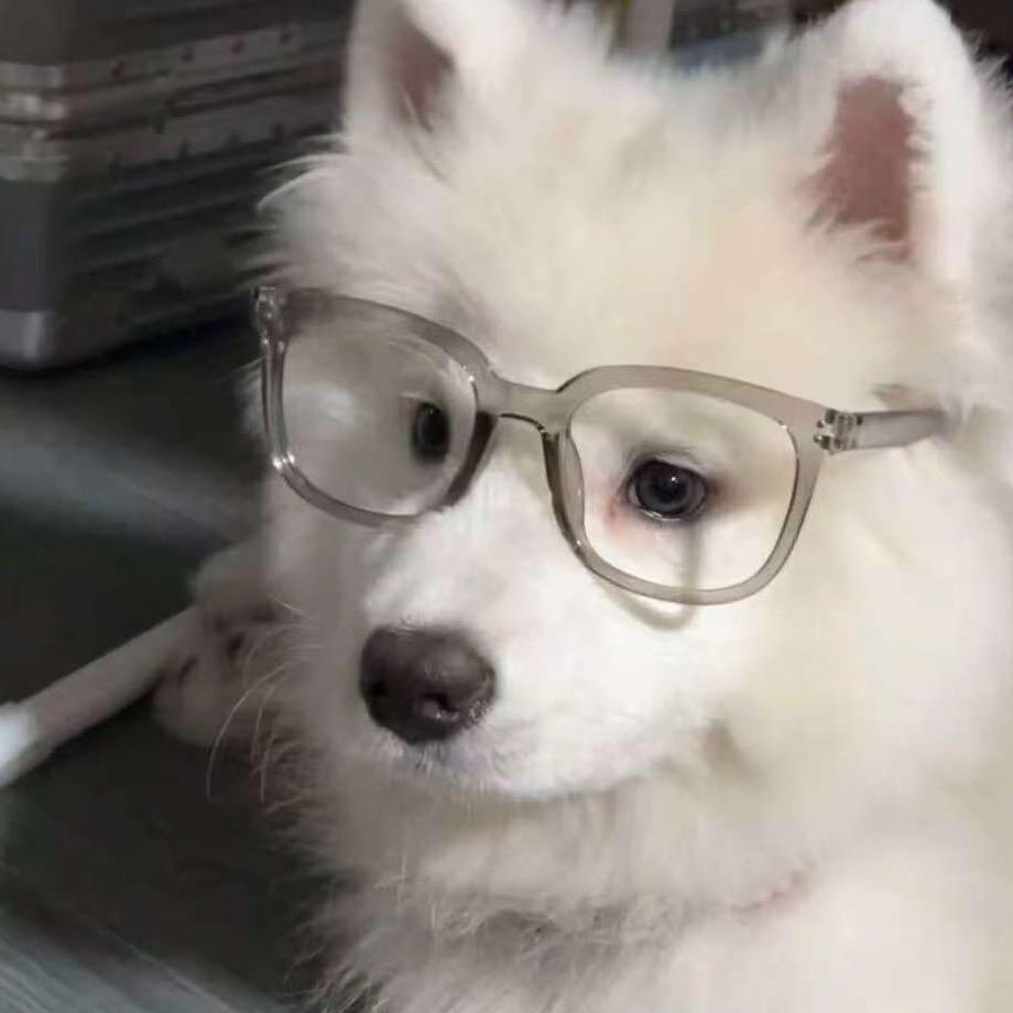 耿什么原