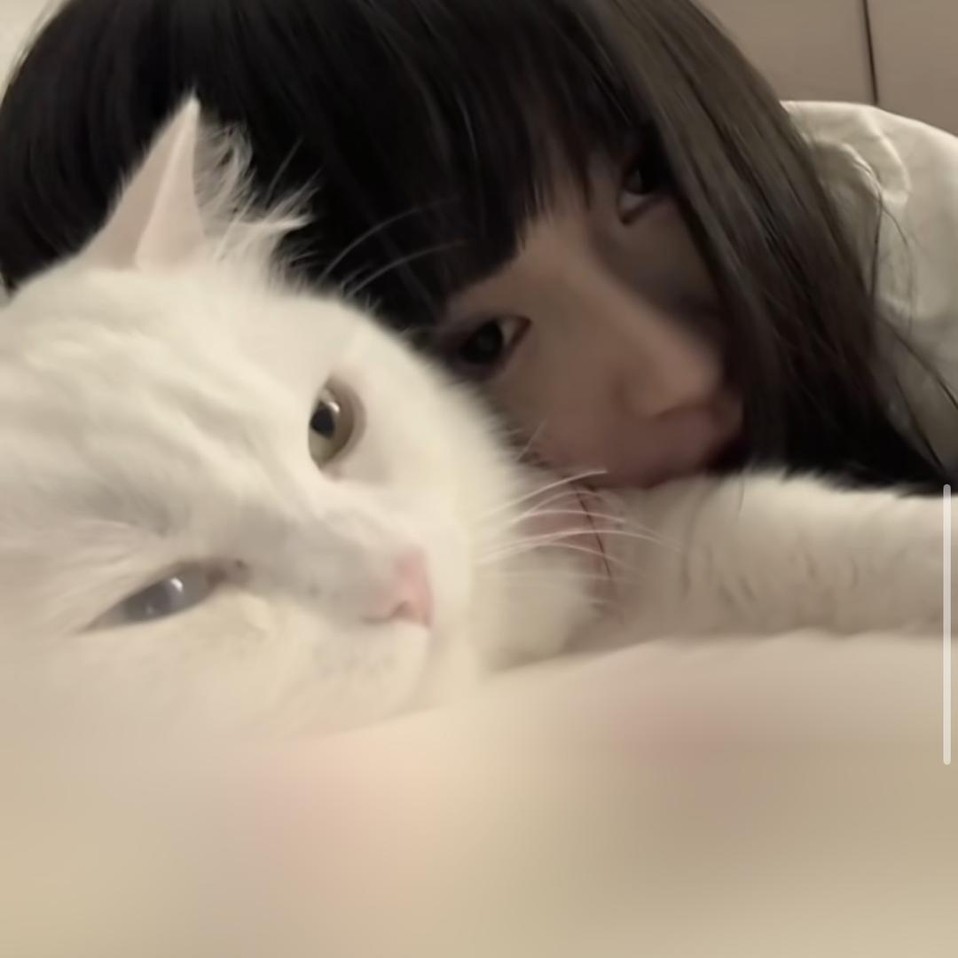 巴黎的林/.