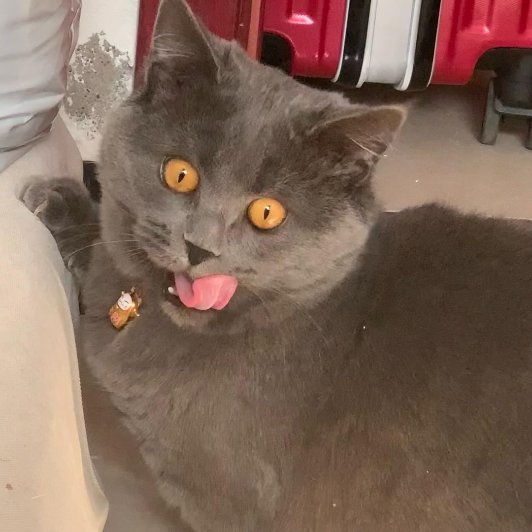 追上我（早7：00）