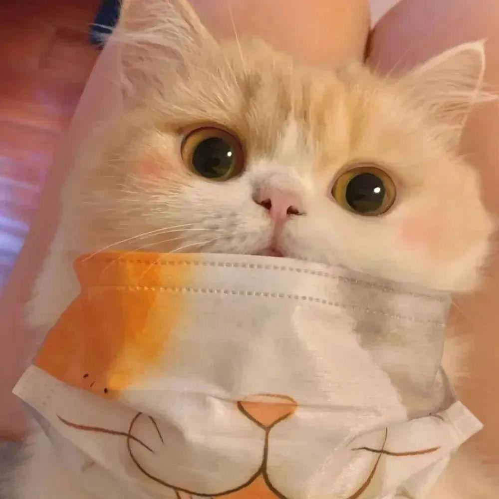 KZ优品