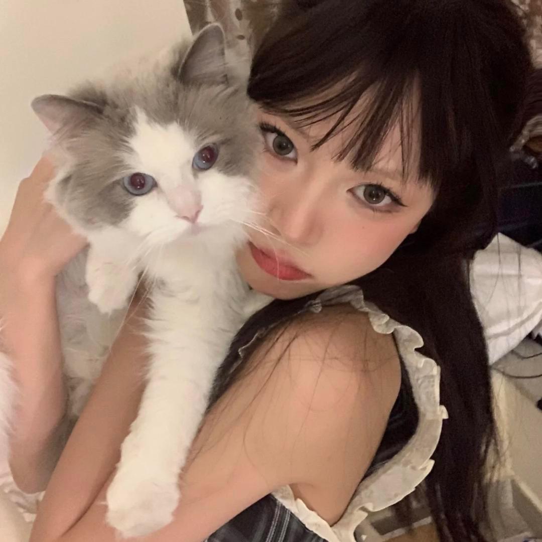圆圆脑袋