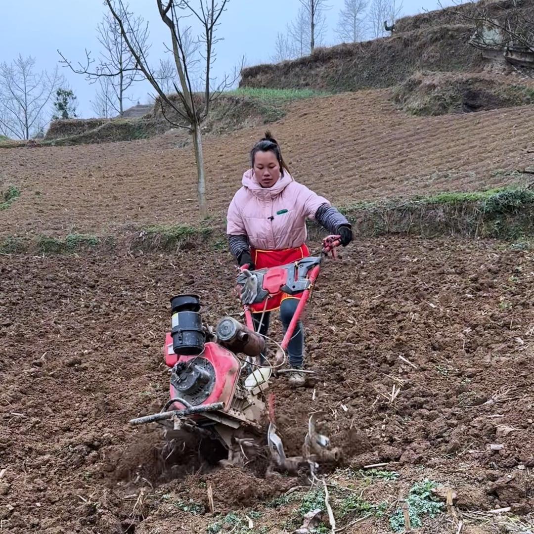 @杨静