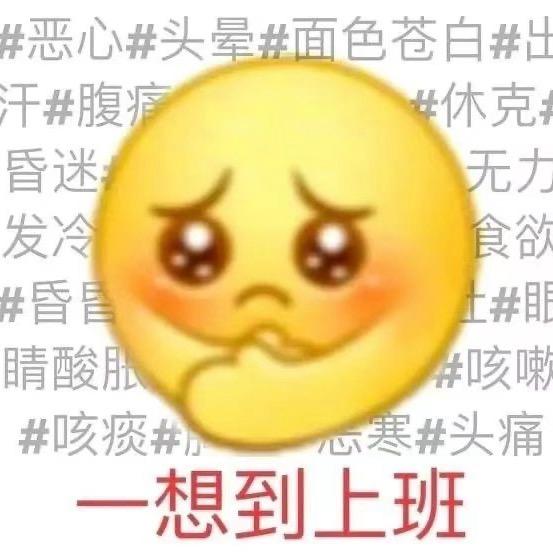 匿名小猫🐱