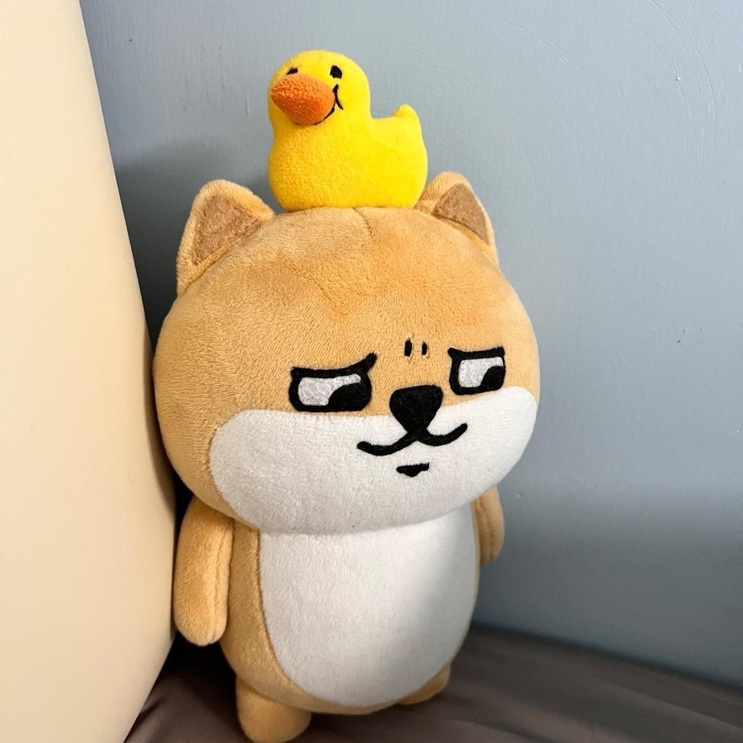 Q。