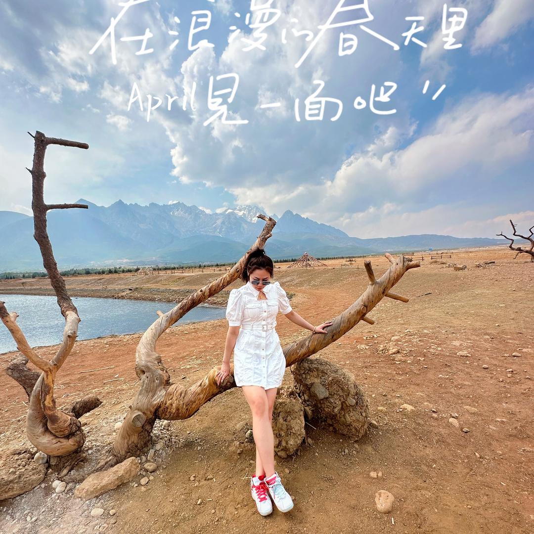 李胖胖有家花店💐