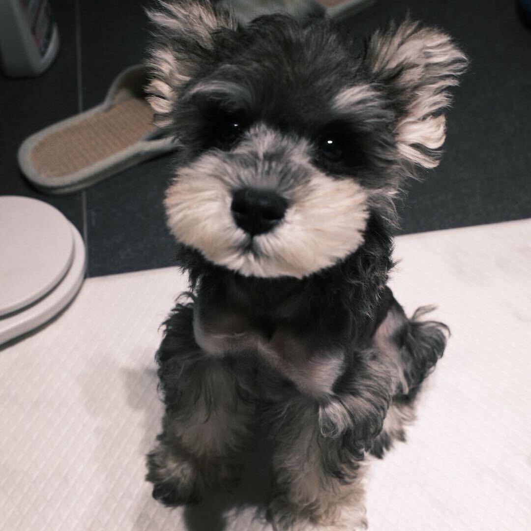 顶呱呱潮玩派对水硕版