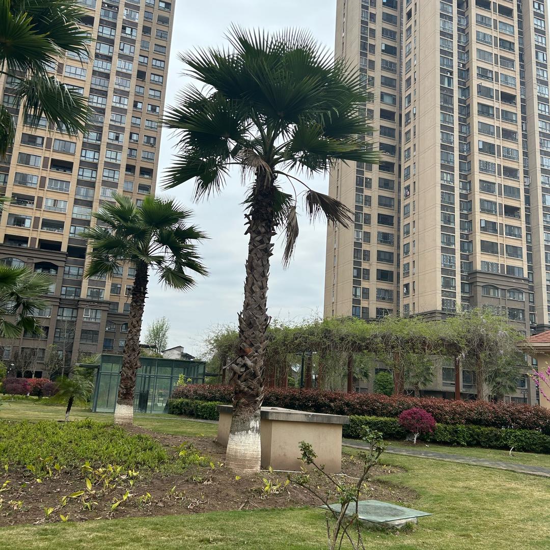 重庆仕伟电子商务有限公司员工